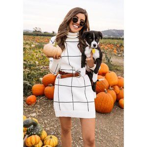 NWT GRID TURTLENECK SWEATER DRESS